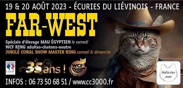 Lievin 20230820